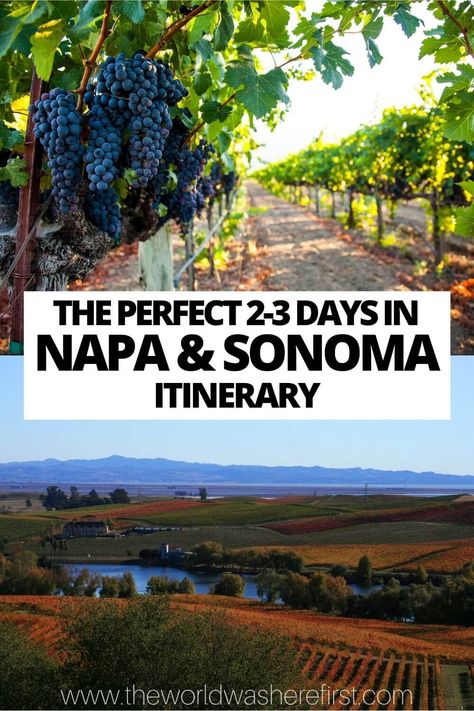 Planning a trip to California wine country? Check out this Napa & Sonoma itinerary to plan your perfect time in this iconic area! Sonoma Itinerary, Sonoma California Wineries, California Wine Country Vacation, Napa Valley Itinerary, Napa Valley Vineyards, Trip To California, Napa Trip, Napa Valley Trip, California Vineyards