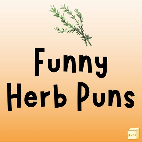 Herbs are plants aside from vegetables that offer micronutrients, aroma, and flavor. Next time you see or eat one, remember funny herb puns. Herb Quotes Funny, Funny Herb Sayings, Herb Puns, Pun Names, Wedding Puns, Garden Puns, Vegetable Puns, Herb Labels, Plant Puns