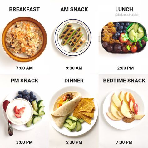 Example of a how a meal schedule helps when working from home with kids. Six pictures of meals & snacks and the times they are scheduled for during the day Dinner Schedule, What To Eat For Dinner, Ground Beef And Cabbage, Meal Schedule, Menu Sarapan Sehat, Motivasi Diet, Healthy Entrees, Eating Schedule, Snack Prep