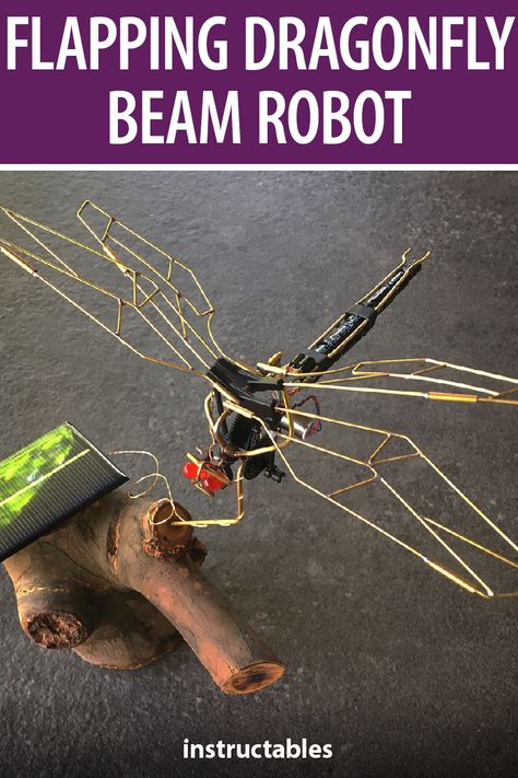 Dragonfly Model School Project, Robot Insect, Beam Robot, Circuit Art, Robotic Insects, Real Robots Technology, Model Sculpture, Rc Toy, Sculpture Inspiration