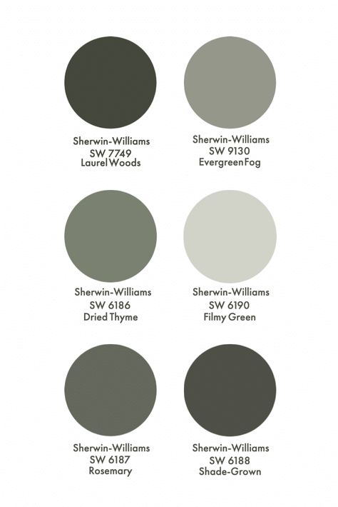 Grey Green Paint Colours | The Best Green Gray Paint Perfect Green Grey Paint, Ash Green Wall Paint, Best Grey Green Exterior Paint Colors, Grey Sage Paint Color, Greeny Grey Paint, Dark Greenish Gray Paint Colors, Phantom Forest Sherwin Williams, Dark Gray With Green Undertones, Grey Green Doors Interior