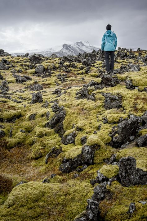 Iceland Lava, Lava Field, West Iceland, Oahu Hawaii, Hawaii Travel, Oahu, Beach Trip, Iceland, Wedding Inspo