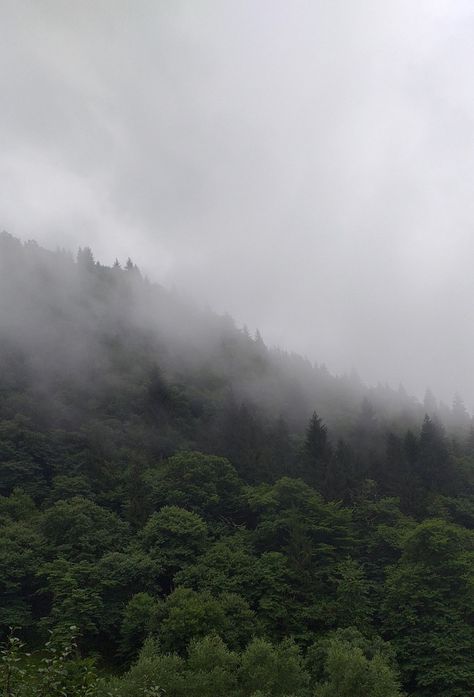 Foggy Appalachian Mountains, Foggy Mountain Aesthetic, Haunting Photoshoot, Nature Mountain Aesthetic, Foggy Castle, Melancholic Aesthetic, Foggy Places, Foggy Aesthetic, Rainy Vibes