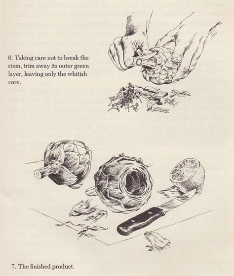 To Prepare an Artichoke by George Koizumi George Koizumi, Cookbook Illustration, Old Recipe Book, Sandwich Drawing, Cook Illustration, Recipe Development, Recipe Illustration, Negative And Positive Space, Recipe Drawing