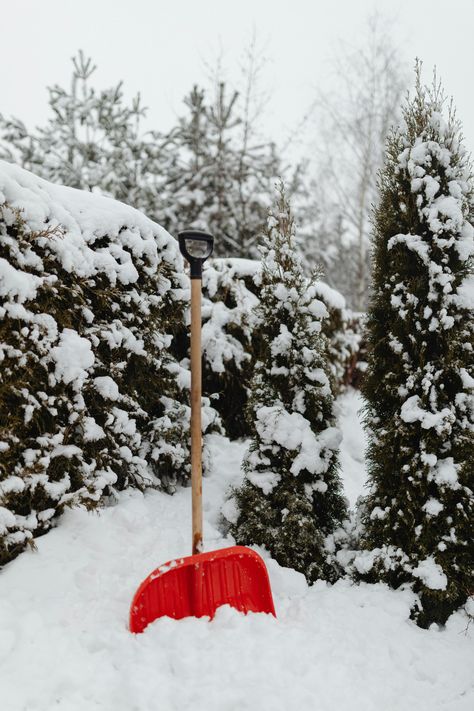 Fit Type: Universal Fit ALUMINUM COLLAPSIBLE SHOVEL: Our collapsible aluminum shovel is the ideal snow shovel for your car, SUV, RV, or snowmobile, and this lightweight snow shovel breaks down into three pieces for easy storage and is the ideal car safety accessory to go along with your road emergency kit Electric Snow Shovel, Snow Shovels, Shoveling Snow, Ice Scraper, How To Make Snow, Snow Removal, Snow Blower, Snow And Ice, Emergency Kit