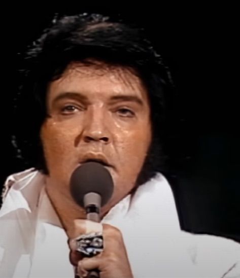 Elvis Presley 1977, Elvis Presley Concerts, Elvis Presley Pictures, Music Legends, Elvis Presley, Random Stuff, Flash, Concert, Quick Saves