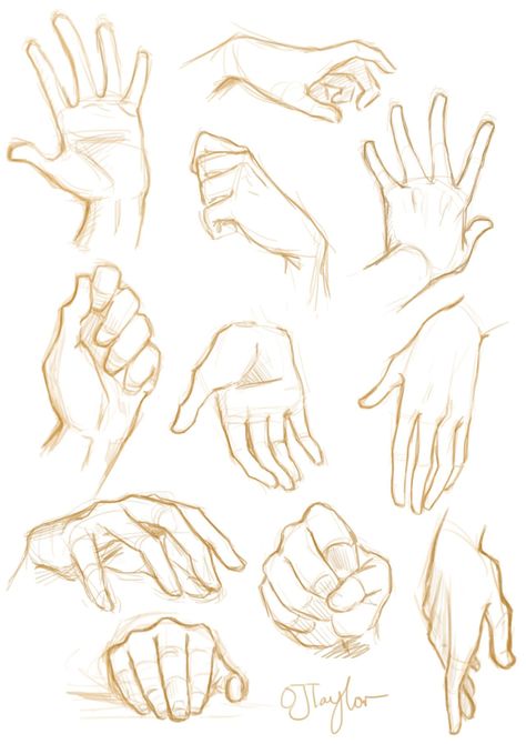 Sketch Hands, Hand References, Hand Sketches, Draw Hands, Drawing Hands, Couple Drawing, Drawing Eyes, Hand Photography, Hand Drawing Reference