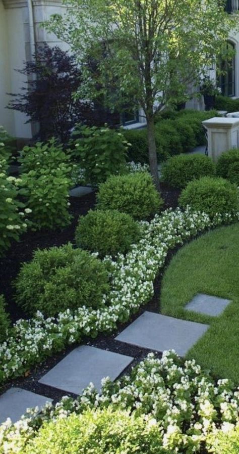 Sideyard Landscape Design Modern, Black And White House Landscaping, Northeast Landscape Ideas, Kentucky Landscaping Front Yard, Botanical Front Yard, Black And White Landscaping, Downhill Front Yard Landscaping, White And Green Flower Beds, Purple And White Landscaping Front Yards