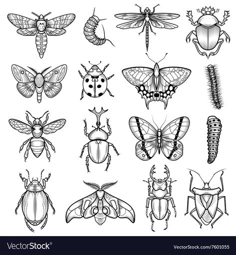 Flash Art Tattoos, Kunst Tattoos, Insect Tattoo, Bug Tattoo, Free Icon Set, Tattoo Flash Sheet, Tattoo Portfolio, Sketch Style, Insect Art