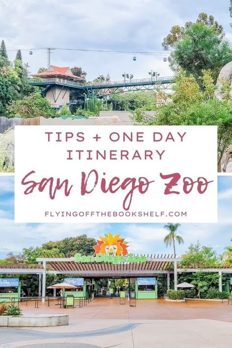 San Diego Outfits Summer Vacation, Summer San Diego Outfits, Visiting San Diego, San Diego Zoo Tips, San Diego Vacation Outfits, Outfit For Zoo Trip, Outfits For San Diego, San Diego Zoo Outfit, San Diego Aesthetic Outfits