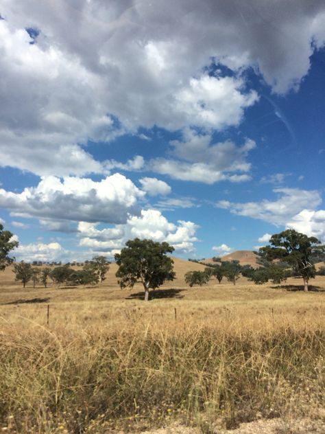 Country farms near Tamworth NSW Australia, by jstarrcreative Australian Country Aesthetic, Tamworth Nsw, Australia Country, Tamworth, Australian Bush, Country Lifestyle, Watch This Space, The Way Home, Gods Plan