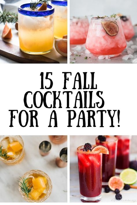 15 Fall Cocktails for any occasion! This roundup includes seasonal, fresh and gorgeous cocktails that are perfect for a fall entertaining! Recipes from some of my favourite bloggers out there! You'll love how delicious these all look! #fallcocktails #cocktails #cocktailroundup #fallcocktail #fallcocktailrecipes #cocktailrecipes #cocktailrecipe  via @homecookskitchn Vodka Cocktails For A Crowd, Cocktails For A Party, Gorgeous Cocktails, Fall Party Drinks, Cocktails For A Crowd, Cocktail Recipes For A Crowd, Fall Party Food, Fall Drink Recipes, Pitcher Cocktails