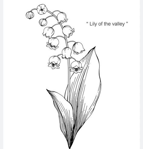 Lily Of The Valley Tattoo, Valley Tattoo, Simple Flower Tattoo, Illustration Black And White, Lily Of The Valley Flowers, Birth Flower Tattoos, Valley Flowers, White Backgrounds, Tattoo Stencil Outline