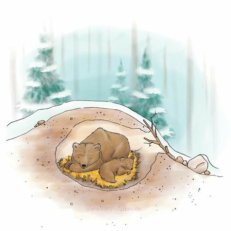 Illustration Bear, Illustration Family, Portfolio Illustration, Cave Drawings, Storybook Art, Bear Drawing, Illustration Portfolio, Bear Illustration, Design And Illustration