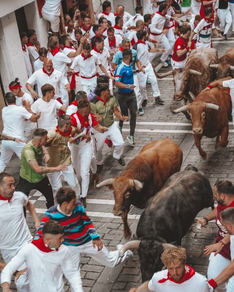 Controversial travel destination…I wasn’t even sure if I was going to post about it, but here we go➡️ When my husband told me he wanted to run with the bulls in Pamplona for his 50th birthday, my heart sank. How could I agree to this? The Running of the Bulls is steeped in controversy, and as a conscious traveler, I struggled with the decision. But this wasn’t just about the festival—it was about celebrating my husband’s incredible journey. After surviving two double lung transplants, every... Running With The Bulls Spain, Running With The Bulls, Pamplona Spain, Running Of The Bulls, Bull Run, European Culture, The Bull, Pamplona, My Struggle