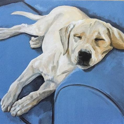 Labrador Painting, Chris Long, Labrador Art, Dog Portraits Art, Custom Pet Art, 강아지 그림, Dog Artwork, Dog Painting, Couch Potato