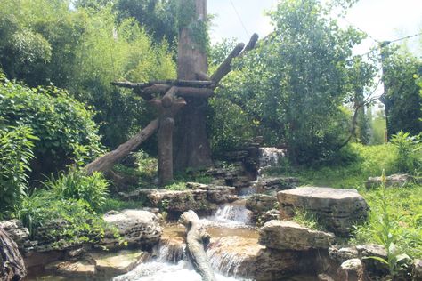 Zoo Boo, Bear Habitat, Sun Bear, St Louis Zoo, Zoo Architecture, Rivers Edge, Community Signs, River Edge, Habitat