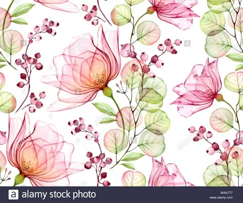 Download this stock image: Transparent watercolor rose. Seamless floral pattern. Isolated hand drawn with big flowers, eucalyptus and berries for wallpaper design, textile - WAA777 from Alamy's library of millions of high resolution stock photos, illustrations and vectors. Removable Wallpaper Nursery, Pink Berries, Textile Wallpaper, Rose Watercolor, Double Gaze, Floral Illustration, Hand Sketch, Outline Drawings