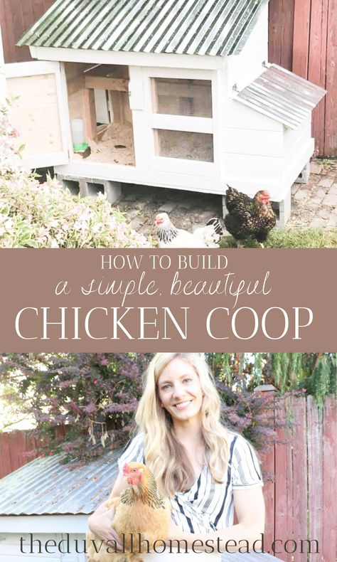 DIY Simple Beautiful Chicken Coop - The Duvall Homestead Diy Small Chicken Coop Ideas, Small Chicken Coop Diy, Simple Chicken Coop Diy, Small Chicken Coop Ideas, Beautiful Chicken Coop, Simple Chicken Coop Plans, Small Chicken Coop, Cute Backyard, Farm Dream