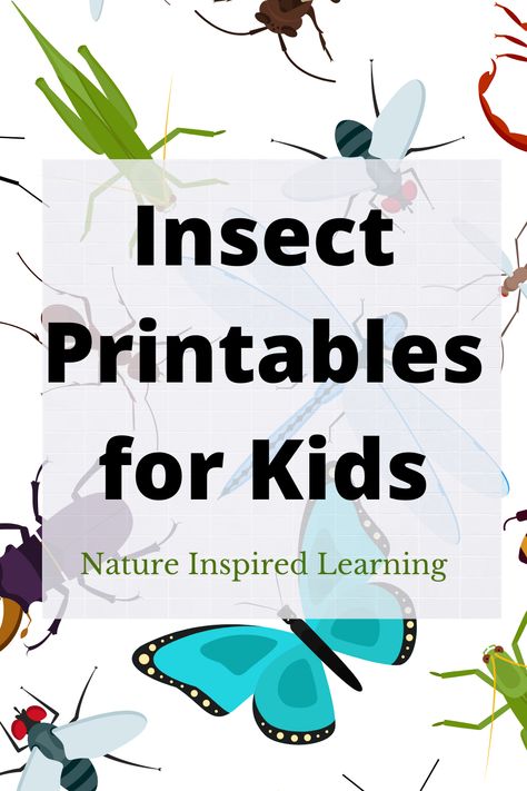 Free Bug Printables For Preschool, Insect Scavenger Hunt, Dramatic Play Printables Free, Bug And Insect Activities, Insect Printables, Butterflies Preschool, Insect Body Parts, Bug Enthusiast, Insects For Kids