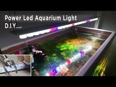 (187) DIY Power Led Aquarium Light & Building an Armature - YouTube Led Lamp Diy, Aquarium Light, Led Aquarium, Led Aquarium Lighting, Aquarium Lighting, Led Diy, Light Building, Power Led, Diy Lighting