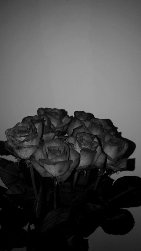 Black Flowers Bouquet, Scarlett Dragna, Black Rose Bouquet, Wilted Rose, Wilted Flowers, Black And White Wallpaper Iphone, Black Roses Wallpaper, Black Bouquet, Black And White Photo Wall