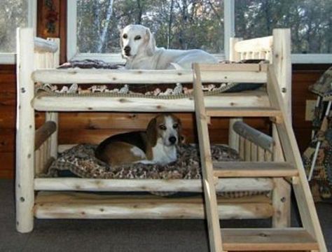 Dog Bunk Beds, Designer Dog Beds, Diy Dog Bed, Dog Rooms, Dog Furniture, Pet Feeder, Animal Projects, Dog Beds, Pet Furniture