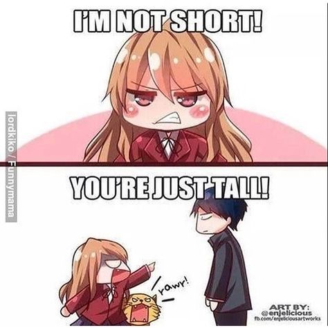 I'm not short, your just tall! Short People Problems, Short Girl Problems, Kpop Meme, Anime Jokes, Anime Memes Funny, Anime Meme, Relationship Memes, Dessin Adorable, Noragami