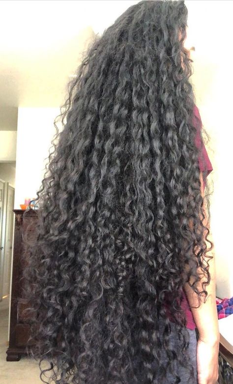 Extremely Long Curly Hair, Super Long Curly Hair Natural Curls, Really Long Curly Hair, Long 4a Hair, Very Long Curly Hair, Long 3c Hair, Super Long Curly Hair, Long Afro Hair, Long Curly Black Hair