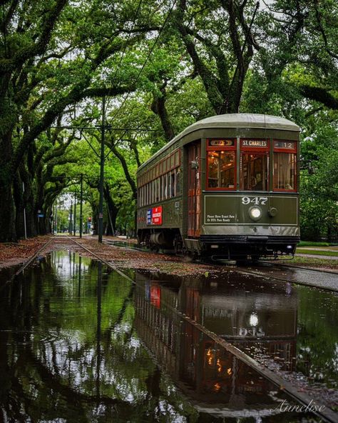 1920s New Orleans Aesthetic, Southern States Aesthetic, Vintage New Orleans Aesthetic, Scad Aesthetic, Tulane Aesthetic, Nola Aesthetic, New Orleans Winter, Louisiana Aesthetic, New Orleans Aesthetic