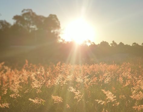 Leland Mckinney, Anne Lester, Flower Field Aesthetic, Flowers Field, Fairytale Aesthetic, Prismacolor Art, Secret Wedding, Alternative Makeup, Winter Sunset