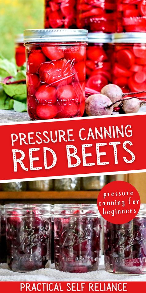 Pressure Canner Recipes, Canned Pickled Beets, Canning Beets, Pickled Beets Recipe, Easy Canning, Pressure Canning Recipes, Canning Vegetables, Canning Recipe, Pressure Canner