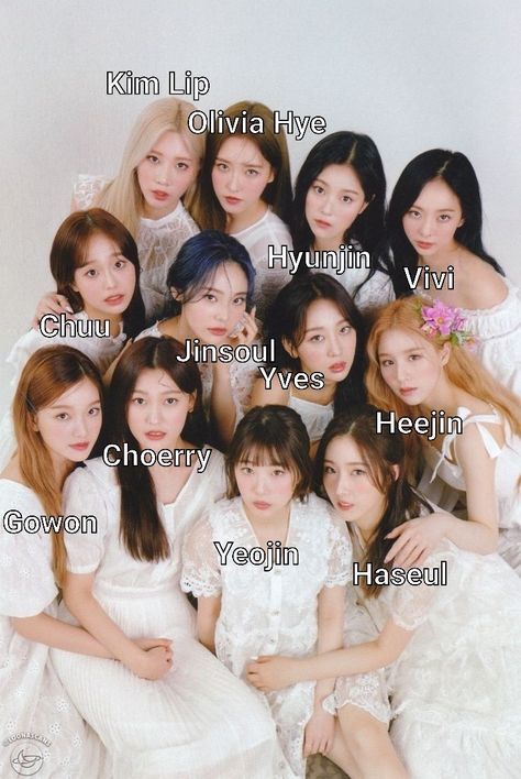 Learn loona's names/ guide to stanning loona Loona Members Names, Loona Names, Revenge Girl, Kpop Group Names, Girls Group Names, Moorim School, Sakura Le Sserafim, Loona Ot12, Group Names