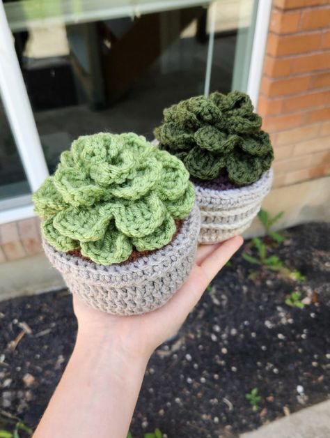 PATTERN: Crochet Succulent Pattern L Succulent Pattern L Succulent L Crochet L Cute Crochet Pattern - Etsy Succulent Crochet Pattern, Handmade Tale, Pot Crochet, Succulent Pattern, Crochet Plants, Crochet Succulent, Crochet Garden, Fall Crochet Patterns, Crochet Cactus