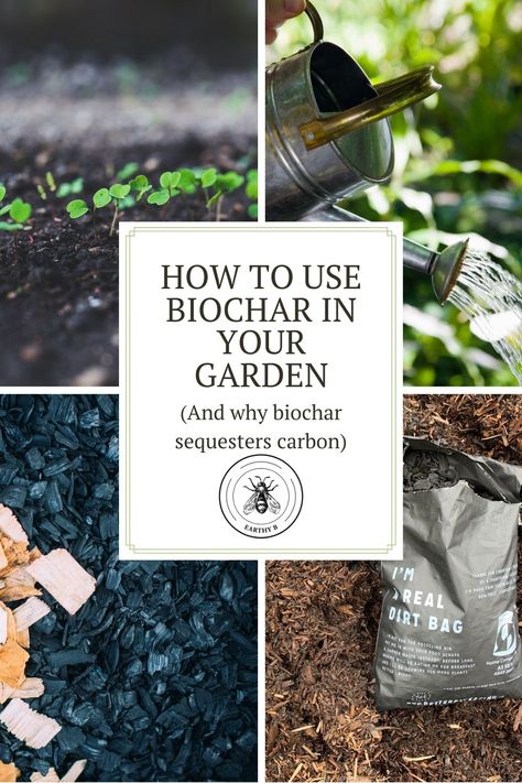 Biochar Gardening, Knf Farming, Vegan Homestead, Bio Char, Regenerative Gardening, Biodynamic Gardening, Herbs Growing, Regenerative Farming, Vegetable Beds Raised