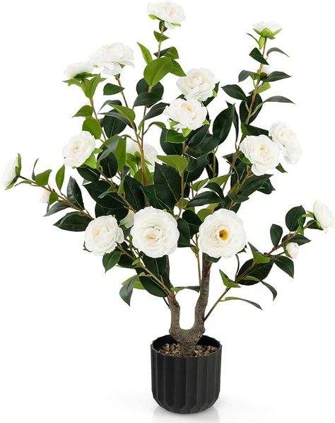 Gleaming Primrose Vanity Tray curated on LTK Plant For Indoor, Camellia Tree, Tree Faux, Entryway Style, Blooming Trees, Flower Plants, Outdoor Office, Cement Pots, Home Porch