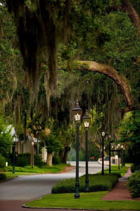 Beautiful Neighborhoods Street, Montage Palmetto Bluff, Picturesque Landscape, Pathway Landscaping, Palmetto Bluff, Southern Cities, Backyard Flowers, Pond Design, Garden Park