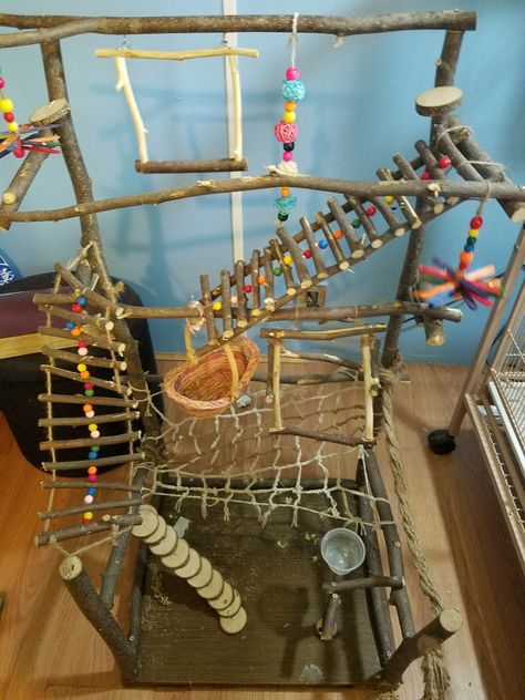 Diy bird playgym Bird Playground Diy, Diy Bird Ladder, Diy Bird Room, Diy Bird Accessories, Diy Toys For Birds, Diy Bird Perch Stand, Bird Play Gym Diy, Bird Stands Diy Ideas, Bird Room Ideas Diy