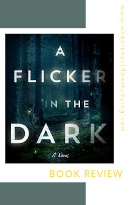 A Flicker in the Dark by Stacy Willingham Book Review Stacy Willingham, Flicker In The Dark, Jaycee Dugard, A Stolen Life, January Books, 20 Year Anniversary, Night Book, Suspense Books, James Patterson