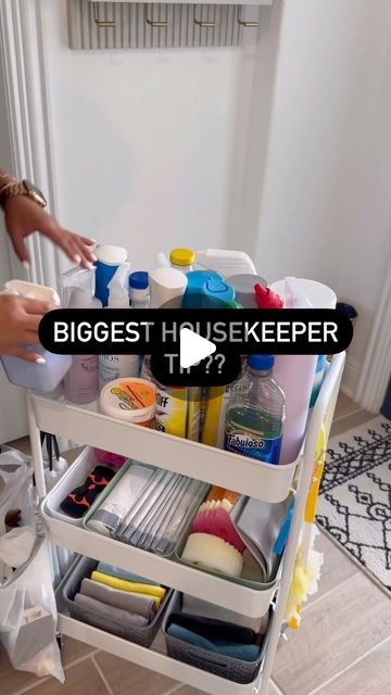 Vanesa Amaro on Instagram: "For more cleaning tips, follow⬇️
@vanesa_amaro_ 
•
Do you have any questions for a former housekeeper???
•
FLOOR CLEANING RECIPE: 1 tablespoon of Gain or Tide detergent powder and ⅓ of a cup of bleach. My recipe along with a lot of other things are in my Ebook which linked on my story and in my bio!! And right now it’s on sale!! ❤️❤️❤️
•
#clean #trendingreels #viral #floors #mopping #tips" Tineco Cleaning Solution Diy, Commercial Cleaning Hacks, Tineco Floor Cleaning Solution Diy, Floor Mopping Solution, Mopping Floors Solution, Mop Cleaning Solution, Mopping Hacks, Floor Cleaning Recipe, Tide Liquid Detergent