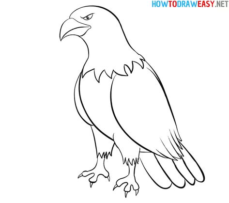 How to Draw an Eagle Easy - How to Draw Easy Drawing Eagle Easy, Eagle Drawing Sketches, Eagle Line Drawing, Eagle Drawing Easy, Easy Drawings Step By Step, Drawing Eagle, Eagle Outline, Line Drawing Simple, Eagle Sketch