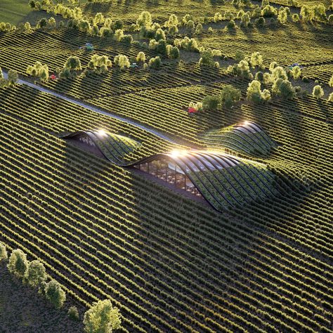 Vineyard on Behance Wine Factory, Winery Architecture, Wineries Architecture, Architecture Software, Architecture Cool, Solar Punk, Green Architecture, Architecture Ideas, Earthship