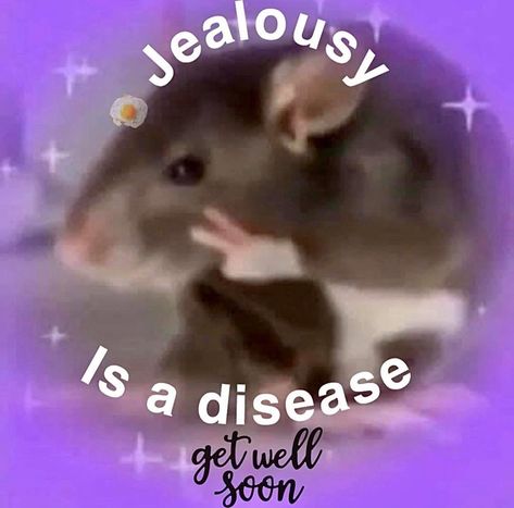 Jealousy Memes, Get Well Soon Meme, Get Well Soon Funny, Jealousy Is A Disease, Aesthetic Pastel Wallpaper, Funny Animal Memes, Get Well Soon, Pastel Aesthetic, Animal Memes