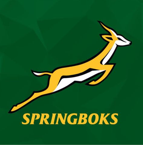 Springboks Rugby South Africa, Rugby Wallpaper, Rugby Cake, Rugby Party, South African Rugby, Rugby Logo, Springbok Rugby, Proudly South African, South African Flag