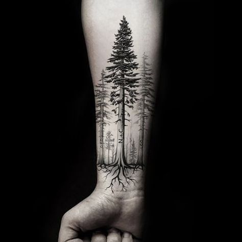 Tree Tattoo Arm Sleeve, Forest Tattoo Sleeve, Forest Forearm Tattoo, Natur Tattoo Arm, Tree Sleeve Tattoo, Progress Tattoo, Tree Tattoo Forearm, Tree Tattoo Men, Tattoo Band