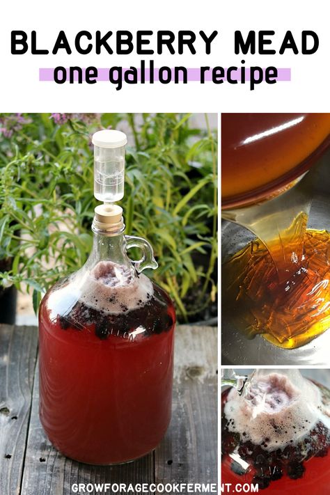 This blackberry mead is a great recipe to make when blackberries are in season! Mead, or honey wine, is an easy fermented drink you can make at home. Mead Recipe 1 Gallon, Mead Drinks, Honey Mead Recipe, Blackberry Mead, Wiccan Recipes, Homestead Breakfast, Making Mead, Beer Recipes Homebrew, Honey Mead