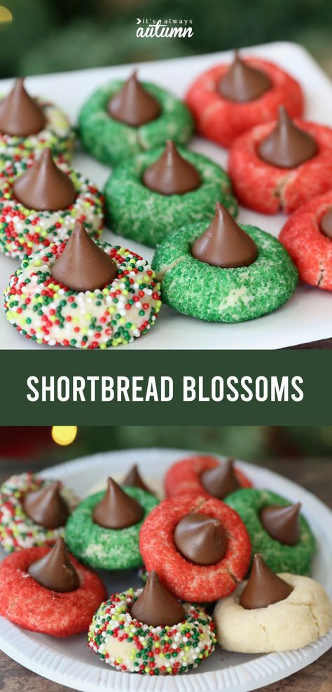 Shortbread Blossoms: red and green shortbread cookies on a plate Shortbread Cookie Designs, Christmas Cookie Decorating For Kids, Fruit Shortbread Cookies, Shortbread Cookie Recipe Christmas, Cookies On A Plate, Simple Holiday Cookie Recipes, Easy Holiday Cookies, Shortbread Cookies Christmas, Christmas Shortbread