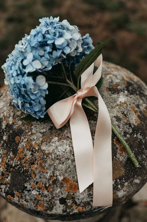 Blue Hydrangea Wedding Bouquet Tied with Blush Ribbon | By Sarah Rook Photography | Rustic Wedding | Marquee Wedding | Wildflowers for Wedding | Church Ceremony | Classic Wedding | Wedding Flowers | Wedding Bouquet | Bridesmaid Bouquet Single Stem Hydrangea Bouquet, Bride Bouquet Hydrangea, Bouquet Hydrangea Blue, Hydrangea Decoration Wedding, Hydrengas Bouquet, Hortensia Wedding, Blue Hydrangea Wedding Bouquet, Blue Bridesmaid Bouquet, Hydrangeas Bouquet