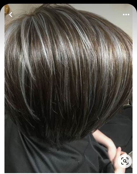 Brown To Gray Transition, Gray Ash Brown Hair Balayage, Gray Hair Brown Lowlights, Silver Streaks In Blonde Hair, Mushroom Brown And Grey Hair, Short Brown Hair With Gray Highlights, Gray Highlights Dark Hair, Chocolate Granite Hair Color, Silver Highlights On Dark Brown Hair