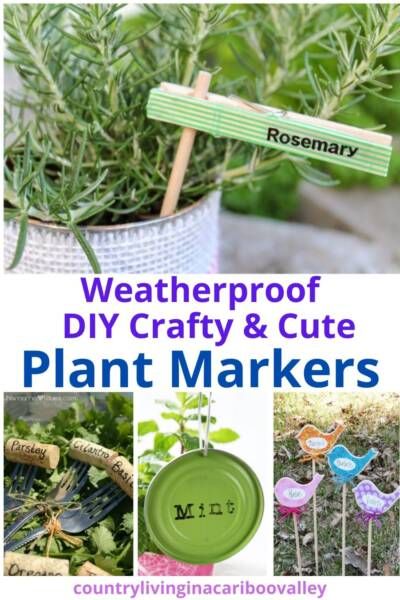 Weatherproof DIY Plant Markers - Cute & Creative Craft Garden Plant Markers Diy, Homemade Garden Markers, Diy Herb Markers, Popsicle Stick Garden Labels, Diy Plant Labels For Garden, Diy Garden Labels Plant Markers, Plant Markers Ideas, Cricut Plant Markers, Diy Plant Name Tags